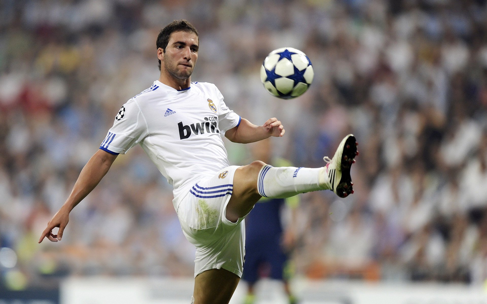 费德勒关键节点高光表现，MAD带队取胜！